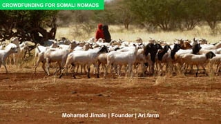Mohamed Jimale | Founder | Ari.farm
CROWDFUNDING FOR SOMALI NOMADS
 