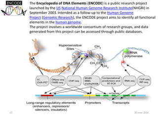 The Encyclopedia of DNA Elements (ENCODE) is a public research project
launched by the US National Human Genome Research Institute(NHGRI) in
September 2003. Intended as a follow-up to the Human Genome
Project (Genomic Research), the ENCODE project aims to identify all functional
elements in the human genome.
The project involves a worldwide consortium of research groups, and data
generated from this project can be accessed through public databases.
20 June 201610
 