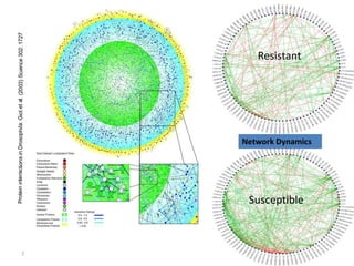 Susceptible
Resistant
Network Dynamics
7
 