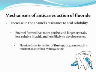 fluoride in dentist 