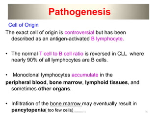 chronic leukemia | PPTX