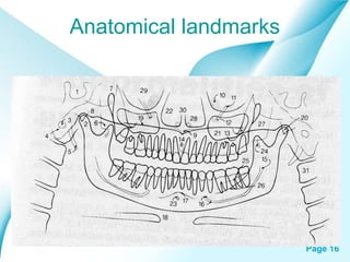 Anatomical landmarks

Powerpoint Templates

Page 16

 