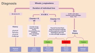 Wheals + angioedema
Duration of individual hive
4 h-36 h 24-48 h with either
bruising, severe arthralgia,
fever, C4
30 min to 2 h
History
physical
Stimulus
physical
challenge
Phyaical
urticaria
Course > 6
wk
Course < 6
wk
Consider drugs,
foods, food skin
testing.
Infection(partIculary
inchildren)
Other identifiable
stimulus
Thyroid functionTests
Anti-microsomal antibody
Antithyroglobulin antibody
Autologous skin test
In vttro-antl-lgE receptore
Acute
urticaria /
angioedema
Positive Negative
Chronic
autoimmune
urticaria
Chronic
Idiopathic
urticaria
Skin
biopsy
Positive
Urticarial
vaecutltla
Diagnosis
 