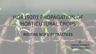 HOR19201 PROPAGATION OF
HORTICUTURAL CROPS
ROUTINE NURSERY PRACTICES
BY
MOHAN KUMAR P
RA1971001010053
 