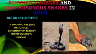 POISONOUS SNAKES AND
NON-POISONOUS SNAKES IN
INDIA
REG NO : P21ZOO1014
N MOHANRAJ M.sc.,(ZOO)
I M.sc Zoology
DEPARTMENT OF ZOOLOGY
PERIYAR UNIVERSITY
SALEM-11
 