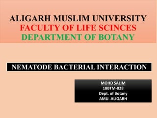 ALIGARH MUSLIM UNIVERSITY
FACULTY OF LIFE SCINCES
DEPARTMENT OF BOTANY
NEMATODE BACTERIAL INTERACTION
MOHD SALIM
18BTM-028
Dept. of Botany
AMU .ALIGARH
 