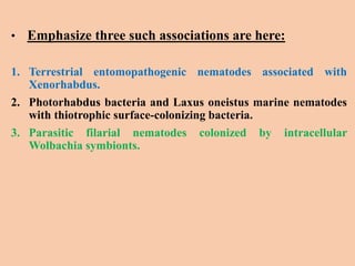 • Emphasize three such associations are here:
1. Terrestrial entomopathogenic nematodes associated with
Xenorhabdus.
2. Photorhabdus bacteria and Laxus oneistus marine nematodes
with thiotrophic surface-colonizing bacteria.
3. Parasitic filarial nematodes colonized by intracellular
Wolbachia symbionts.
 