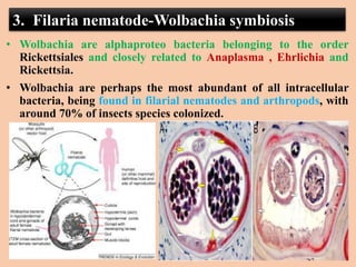 3. Filaria nematode-Wolbachia symbiosis
• Wolbachia are alphaproteo bacteria belonging to the order
Rickettsiales and closely related to Anaplasma , Ehrlichia and
Rickettsia.
• Wolbachia are perhaps the most abundant of all intracellular
bacteria, being found in filarial nematodes and arthropods, with
around 70% of insects species colonized.
 