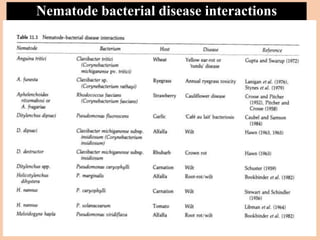 Nematode bacterial disease interactions
 