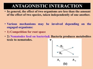 ANTAGONISTIC INTERACTION
• In general, the effect of two organisms are less than the amount
of the effect of two species, taken independently of one another.
• Various mechanisms may be involved depending on the
engaged organisms:
• 1) Competition for root space
• 2) Nematodes feed on bacteria& Bacteria produces metabolites
toxic to nematodes.
 