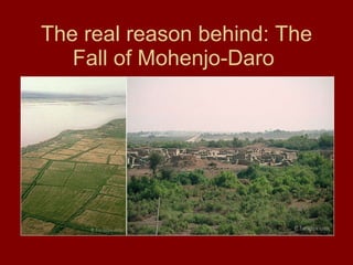 The real reason behind: The Fall of Mohenjo-Daro  