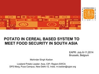 POTATO IN CEREAL BASED SYSTEM TO
MEET FOOD SECURITY IN SOUTH ASIA
Mohinder Singh Kadian
Lowland Potato Leader: Asia, CIP- Region-SWCA
DPS Marg, Pusa Campus, New Delhi-12, India. m.kadian@cgiar.org
EAPR: July 6-11,2014
Brussels, Belgium
 