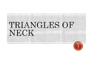 triangles of the neck | ppt Images High Quality Grahic Triangle of Neck by Mohit | PPTX