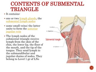 CONTENTS OF SUBMENTAL
TRIANGLE
 It contains:
 one or two lymph glands, the
submental lymph nodes
 some small veins; the latter
unite to form the anterior
jugular vein
 The lymph nodes of the
submental triangle receive
lymph from the skin of the
chin, the lower lip, the floor of
the mouth, and the tip of the
tongue. They send lymph to
the submandibular and
jugular chains of nodes. They
belong to Level 1 gr of LNs
10
 
