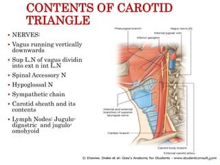 CONTENTS OF CAROTID
TRIANGLE
 NERVES:
 Vagus running vertically
downwards
 Sup L.N of vagus dividing
into ext n int L.N
 Spinal Accessory N
 Hypoglossal N
 Sympathetic chain
 Carotid sheath and its
contents
 Lymph Nodes: Jugulo-
digastric and jugulo-
omohyoid
20
 