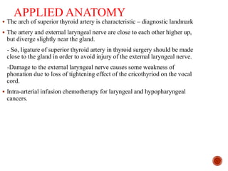 APPLIED ANATOMY
 The arch of superior thyroid artery is characteristic – diagnostic landmark
 The artery and external laryngeal nerve are close to each other higher up,
but diverge slightly near the gland.
- So, ligature of superior thyroid artery in thyroid surgery should be made
close to the gland in order to avoid injury of the external laryngeal nerve.
-Damage to the external laryngeal nerve causes some weakness of
phonation due to loss of tightening effect of the cricothyriod on the vocal
cord.
 Intra-arterial infusion chemotherapy for laryngeal and hypopharyngeal
cancers.
 