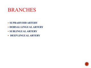BRANCHES
 SUPRAHYOID ARTERY
 DORSAL LINGUALARTERY
 SUBLINGUALARTERY
 DEEP LINGUALARTERY
 