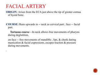 FACIAL ARTERY
ORIGIN: Arises from the ECA just above the tip of greater cornua
of hyoid bone.
COURSE: Runs upwards in -- neck as cervical part ; face -- facial
part.
Tortuous course—In neck allows free movements of pharynx
during deglutition,
on face -- free movements of mandible , lips, & cheek during
mastication & facial expressions, escapes traction & pressure
during movements.
.
 