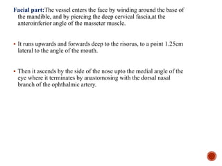 Facial part:The vessel enters the face by winding around the base of
the mandible, and by piercing the deep cervical fascia,at the
anteroinferior angle of the masseter muscle.
 It runs upwards and forwards deep to the risorus, to a point 1.25cm
lateral to the angle of the mouth.
 Then it ascends by the side of the nose upto the medial angle of the
eye where it terminates by anastomosing with the dorsal nasal
branch of the ophthalmic artery.
 