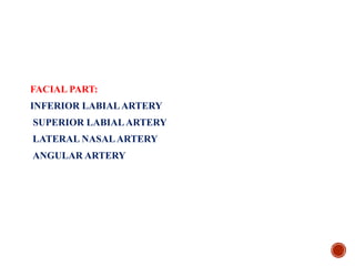 FACIAL PART:
INFERIOR LABIALARTERY
SUPERIOR LABIALARTERY
LATERAL NASALARTERY
ANGULAR ARTERY
 