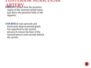 POSTERIOR AURICULAR
ARTERYORIGIN: Arises from the posterior
aspect of the external carotid artery
just above the posterior belly of the
digastric.
COURSE:It runs upwards and
backwards deep to parotid gland,
but superficial to the styloid
process.It crosses the base of the
mastiod process and ascends behind
the auricle.
 