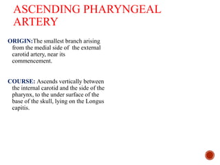 ASCENDING PHARYNGEAL
ARTERY
ORIGIN:The smallest branch arising
from the medial side of the external
carotid artery, near its
commencement.
COURSE: Ascends vertically between
the internal carotid and the side of the
pharynx, to the under surface of the
base of the skull, lying on the Longus
capitis.
 