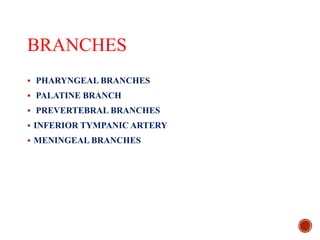 BRANCHES
 PHARYNGEAL BRANCHES
 PALATINE BRANCH
 PREVERTEBRAL BRANCHES
 INFERIOR TYMPANIC ARTERY
 MENINGEAL BRANCHES
 