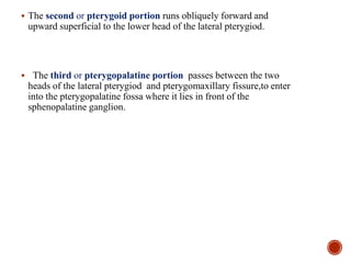  The second or pterygoid portion runs obliquely forward and
upward superficial to the lower head of the lateral pterygiod.
 The third or pterygopalatine portion passes between the two
heads of the lateral pterygiod and pterygomaxillary fissure,to enter
into the pterygopalatine fossa where it lies in front of the
sphenopalatine ganglion.
 