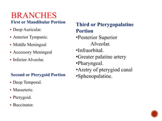 BRANCHES
First or Mandibular Portion
 Deep Auricular.
 Anterior Tympanic.
 Middle Meningeal
 Accessory Meningeal
 Inferior Alveolar.
Second or Pterygoid Portion
 Deep Temporal.
 Masseteric.
 Pterygoid.
 Buccinator.
Third or Pterygopalatine
Portion
•Posterior Superior
Alveolar.
•Infraorbital.
•Greater palatine artery
•Pharyngeal.
•Aretry of pterygiod canal
•Sphenopalatine.
 