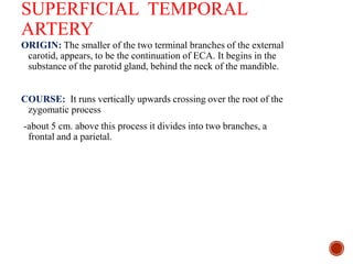 SUPERFICIAL TEMPORAL
ARTERY
ORIGIN: The smaller of the two terminal branches of the external
carotid, appears, to be the continuation of ECA. It begins in the
substance of the parotid gland, behind the neck of the mandible.
COURSE: It runs vertically upwards crossing over the root of the
zygomatic process
-about 5 cm. above this process it divides into two branches, a
frontal and a parietal.
 