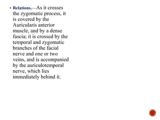  Relations.—As it crosses
the zygomatic process, it
is covered by the
Auricularis anterior
muscle, and by a dense
fascia; it is crossed by the
temporal and zygomatic
branches of the facial
nerve and one or two
veins, and is accompanied
by the auriculotemporal
nerve, which lies
immediately behind it.
 