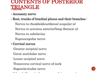 CONTENTS OF POSTERIOR
TRIANGLE Nerves
• Accessory nerve
• Root, trunks of brachial plexus and their branches :
Nerves to rhomboideus(dorsal scapular n)
Nerves to serratus anterior(long thoracic n)
Nerves to subclavius
Suprascapular nerve
 Cervical nerves
Greater occipital nerve
Great auriclular nerve
Lesser occipital nerve
Transverse cervical nerve of neck
Supraclavicular nerve 82
 