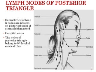 LYMPH NODES OF POSTERIOR
TRIANGLE
 Supraclavicularlymp
h nodes are present
on posteriorborder of
sternocleidomastoid
 Occipital nodes
 The nodes of
posterior triangle
belong to 5th level of
cervical LNs
86
 