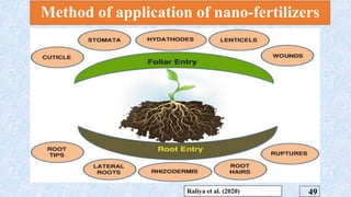 Method of application of nano-fertilizers
49
Raliya et al. (2020)
 
