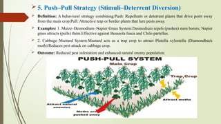 INSECT PHYSIOLOGY NUTRITION PRESENTATIO | PPTX