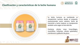 Clasificación y características de la leche humana
La leche humana va cambiando su
composición química desde el preparto,
evolucionando como calostro, leche de
transición y leche madura; su composición
también varía según la hora del día.
Contiene células vivas (macrófagos,
neutrófilos, linfocitos, células epiteliales),
membranas y glóbulos de grasa.
 