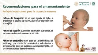 Recomendaciones para el amamantamiento
Reflejo de búsqueda: es el que ayuda al bebé a
encontrar el pezón. Se estimula al tocar el pezón con
su mejilla.
Reflejo de succión: cuando se estimulan sus labios, el
lactante inicia movimientos de succión.
Reflejo de deglución: es el paso de la leche hacia el
estómago por medio de movimientos voluntarios e
involuntarios que se suceden automáticamente, en
un conjunto único de movimientos.
Reflejos importantes para la lactancia materna
 