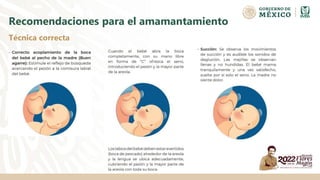 Recomendaciones para el amamantamiento
Técnica correcta
 