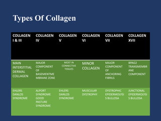 Types Of Collagen
COLLAGEN
I & III
COLLAGEN
IV
COLLAGEN
V
COLLAGEN
VI
COLLAGEN
VII
COLLAGEN
XVII
MAIN
INTERSTITIAL
DERMAL
COLLAGEN
MAJOR
COMPONENT
OF
BASEMENTME
MBRANE ZONE
MOST IN
CONNECTIVE
TISSUES
MINOR
COLLAGEN
MAJOR
COMPONENT
OF
ANCHORING
FIBRILS
BPAG2
TRANSMEMBR
ANE
COMPONENT
EHLERS
DANLOS
SYNDROME
ALPORT
SYNDROME
GOOD
PASTURE
SYNDROME
EHLERS
DANLOS
SYNDROME
MUSCULAR
DYSTROPHY
DYSTROPHIC
EPIDERMOLYSI
S BULLOSA
JUNCTIONAL
EPIDERMOLYSI
S BULLOSA
 