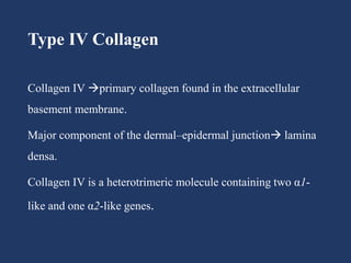 Type IV Collagen
Collagen IV primary collagen found in the extracellular
basement membrane.
Major component of the dermal–epidermal junction lamina
densa.
Collagen IV is a heterotrimeric molecule containing two α1-
like and one α2-like genes.
 
