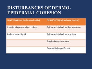 DISTURBANCES OF DERMO-
EPIDERMAL COHESION
JUNCTIONAL(at the lamina lucida) DERMOLYTIC(below basal lamina)
Junctional epidermolysis bullosa Epidermolysis bullosa dystrophicans
Bullous pemphigoid Epidermolysis bullosa acquisita
Porphyria cutanea tarda
Dermatitis herpetiformis
 