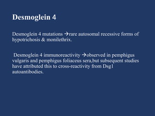 Desmoglein 4
Desmoglein 4 mutations rare autosomal recessive forms of
hypotrichosis & monilethrix.
Desmoglein 4 immunoreactivity observed in pemphigus
vulgaris and pemphigus foliaceus sera,but subsequent studies
have attributed this to cross-reactivity from Dsg1
autoantibodies.
 