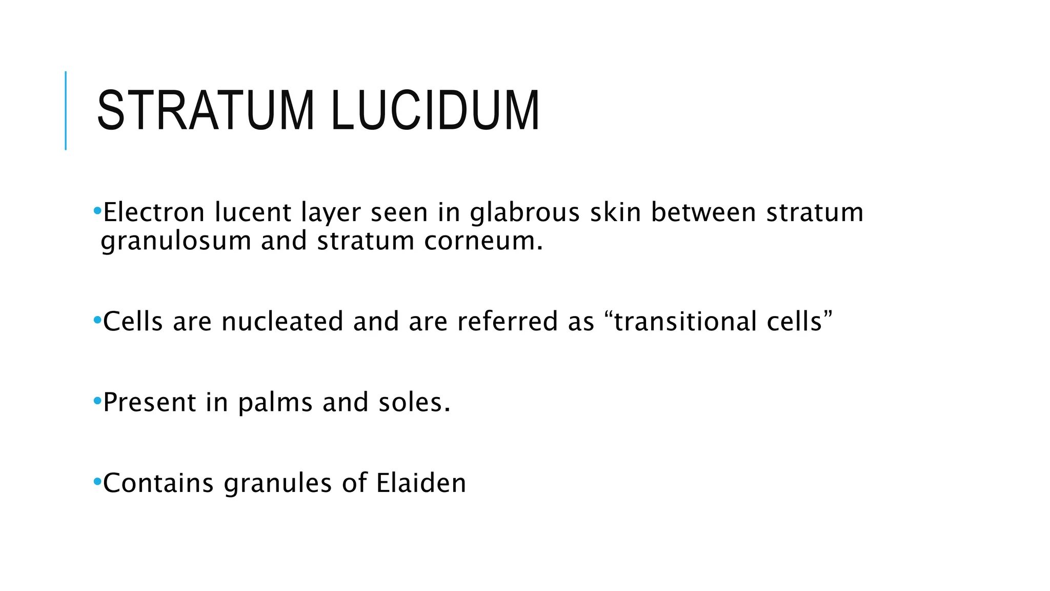 STRATUM LUCIDUM
•Electron lucent layer seen in glabrous skin between stratum
granulosum and stratum corneum.
•Cells are nucleated and are referred as “transitional cells”
•Present in palms and soles.
•Contains granules of Elaiden
 