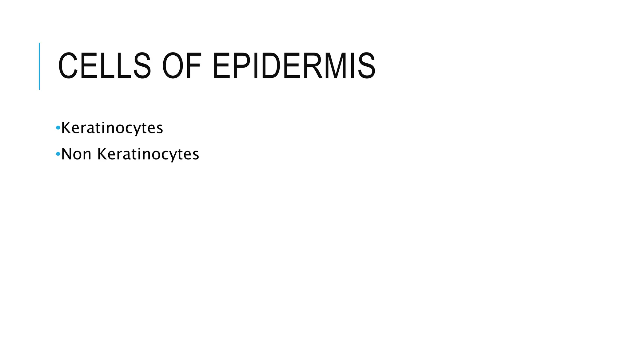 CELLS OF EPIDERMIS
•Keratinocytes
•Non Keratinocytes
 