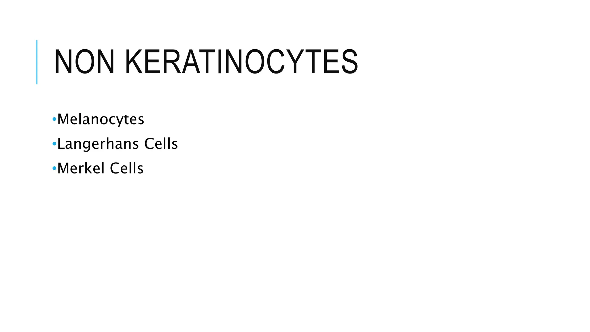 NON KERATINOCYTES
•Melanocytes
•Langerhans Cells
•Merkel Cells
 