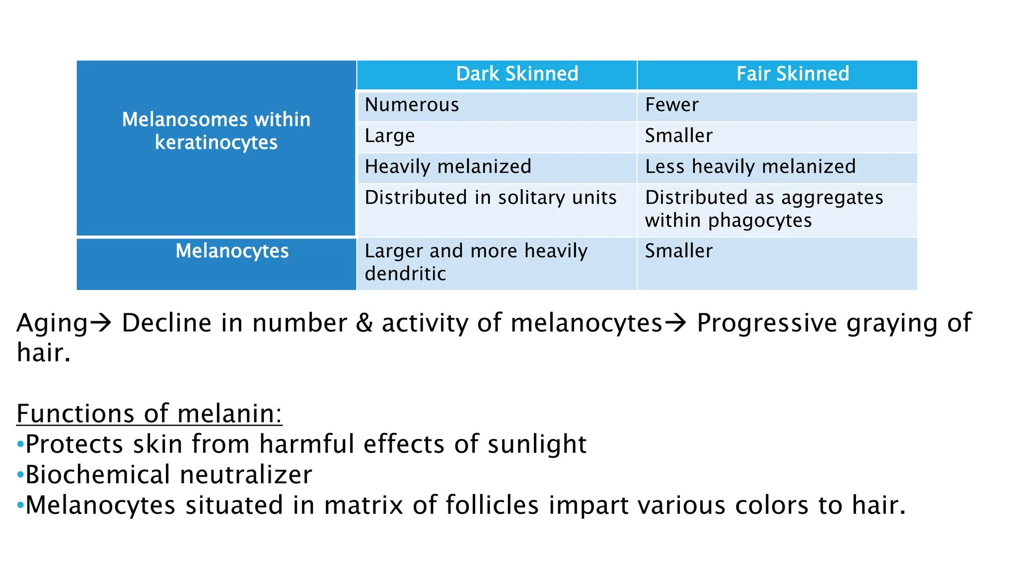 Aging Decline in number & activity of melanocytes Progressive graying of
hair.
Functions of melanin:
•Protects skin from harmful effects of sunlight
•Biochemical neutralizer
•Melanocytes situated in matrix of follicles impart various colors to hair.
Melanosomes within
keratinocytes
Dark Skinned Fair Skinned
Numerous Fewer
Large Smaller
Heavily melanized Less heavily melanized
Distributed in solitary units Distributed as aggregates
within phagocytes
Melanocytes Larger and more heavily
dendritic
Smaller
 