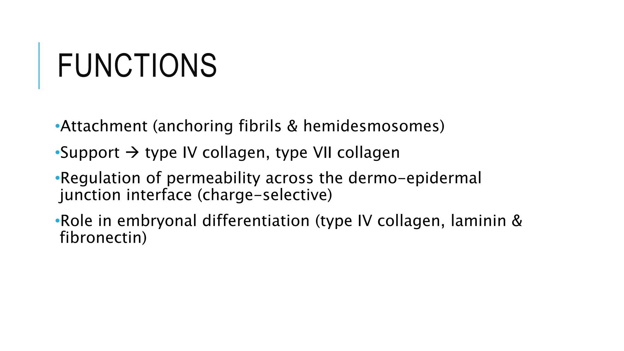 FUNCTIONS
•Attachment (anchoring fibrils & hemidesmosomes)
•Support  type IV collagen, type VII collagen
•Regulation of permeability across the dermo-epidermal
junction interface (charge-selective)
•Role in embryonal differentiation (type IV collagen, laminin &
fibronectin)
 