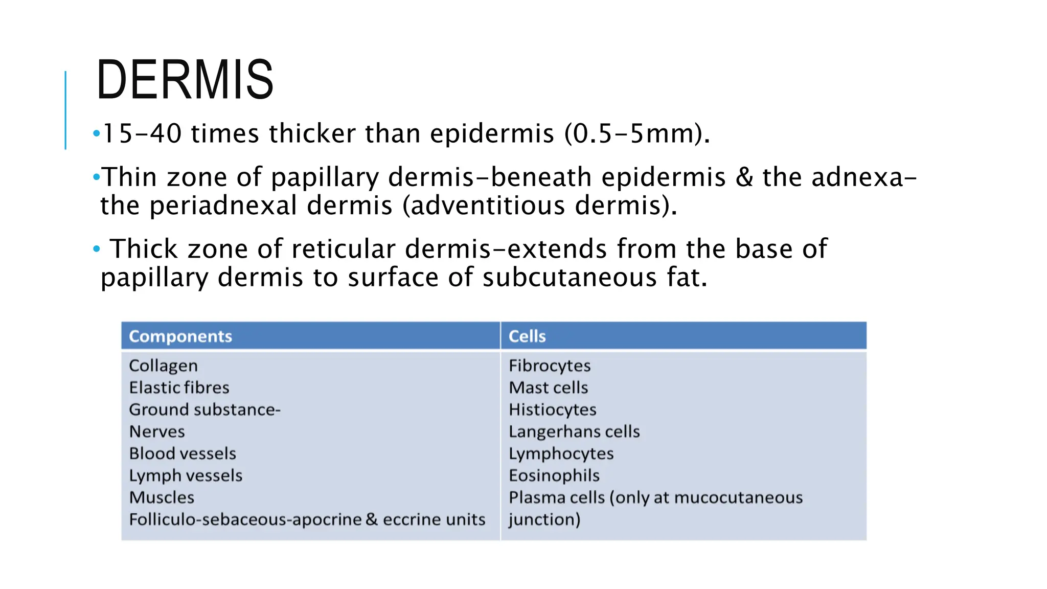 DERMIS
•15-40 times thicker than epidermis (0.5-5mm).
•Thin zone of papillary dermis-beneath epidermis & the adnexa-
the periadnexal dermis (adventitious dermis).
• Thick zone of reticular dermis-extends from the base of
papillary dermis to surface of subcutaneous fat.
 