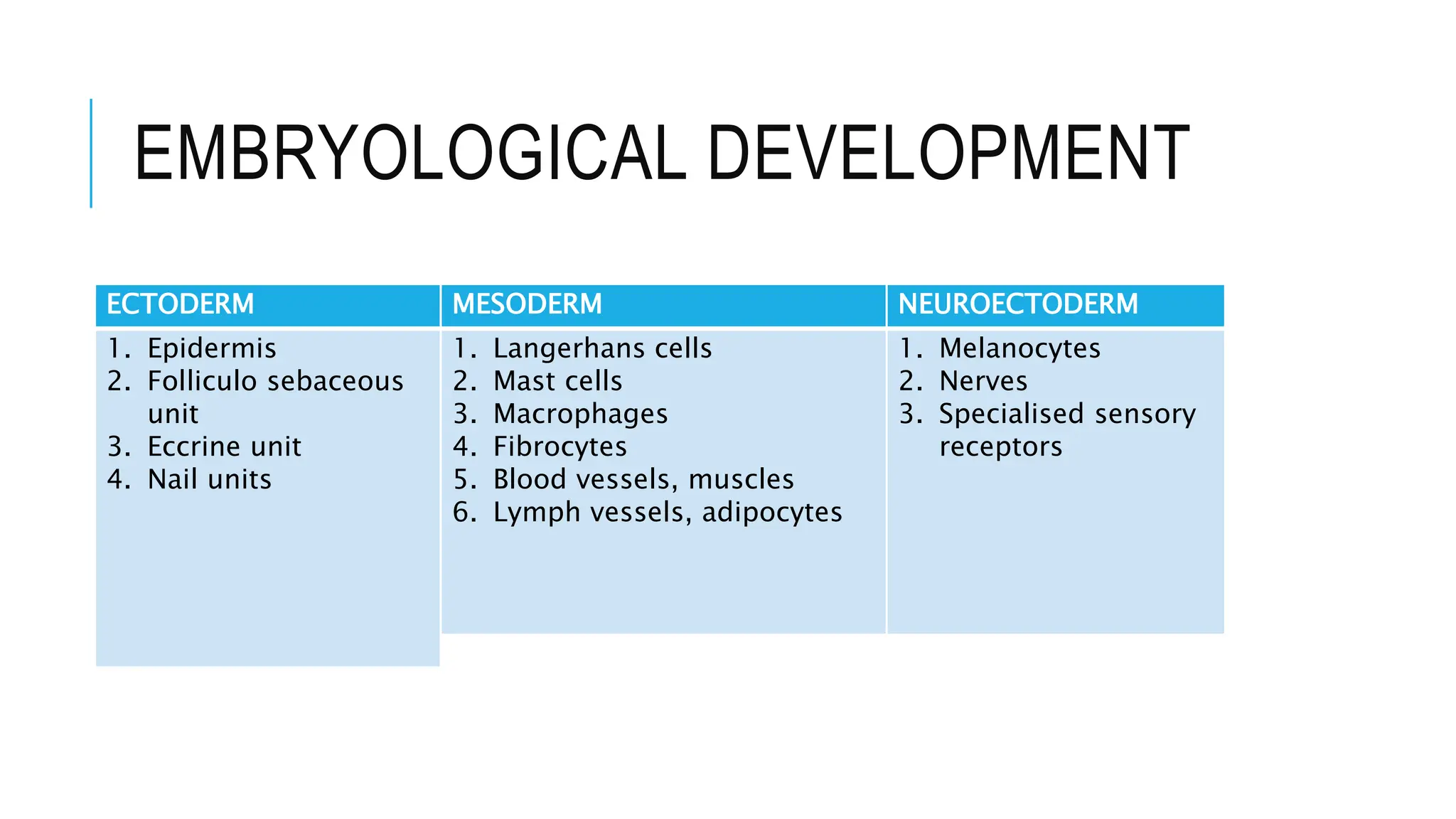 EMBRYOLOGICAL DEVELOPMENT
ECTODERM
1. Epidermis
2. Folliculo sebaceous
unit
3. Eccrine unit
4. Nail units
MESODERM
1. Langerhans cells
2. Mast cells
3. Macrophages
4. Fibrocytes
5. Blood vessels, muscles
6. Lymph vessels, adipocytes
NEUROECTODERM
1. Melanocytes
2. Nerves
3. Specialised sensory
receptors
 