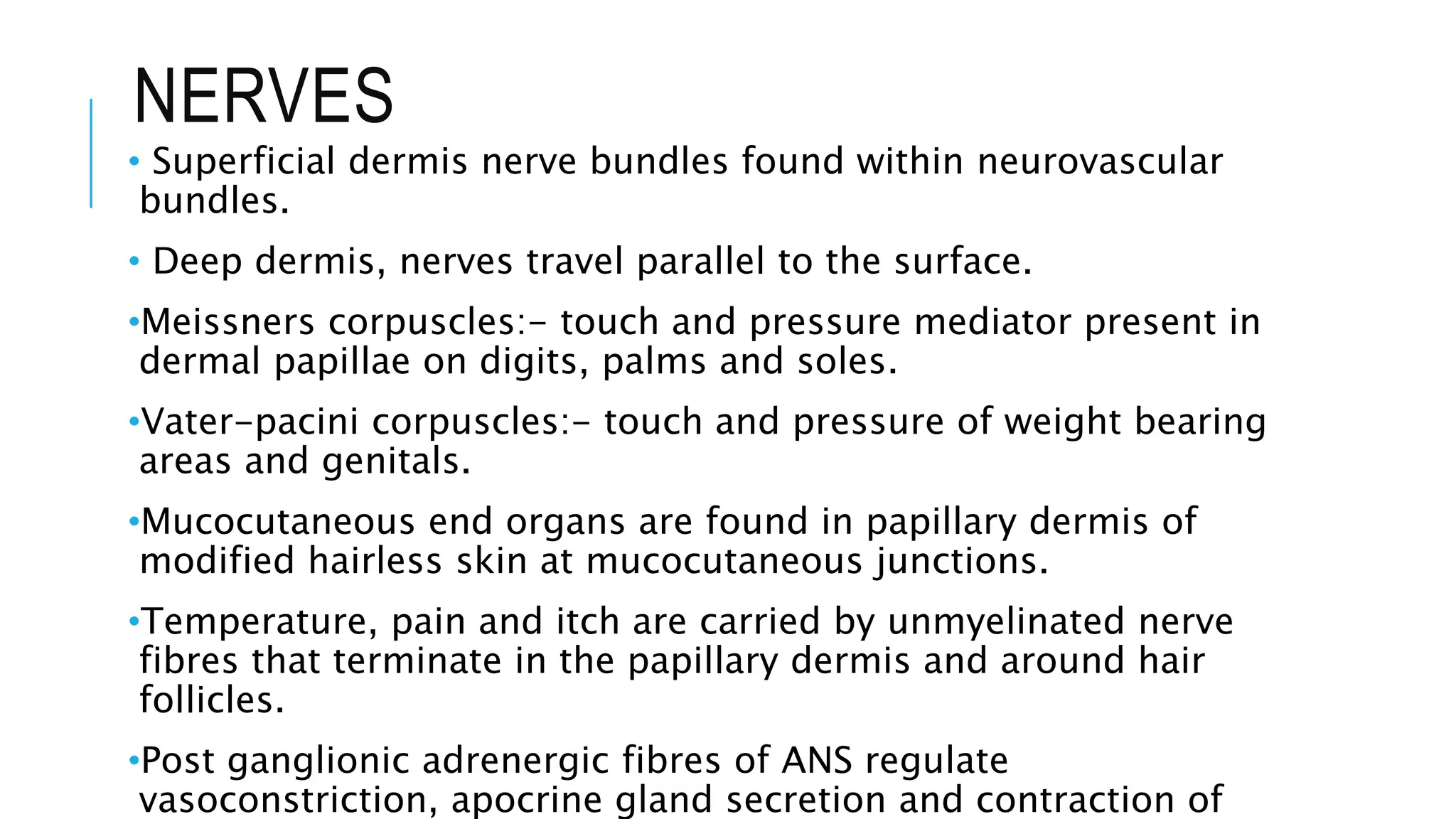 NERVES
• Superficial dermis nerve bundles found within neurovascular
bundles.
• Deep dermis, nerves travel parallel to the surface.
•Meissners corpuscles:- touch and pressure mediator present in
dermal papillae on digits, palms and soles.
•Vater-pacini corpuscles:- touch and pressure of weight bearing
areas and genitals.
•Mucocutaneous end organs are found in papillary dermis of
modified hairless skin at mucocutaneous junctions.
•Temperature, pain and itch are carried by unmyelinated nerve
fibres that terminate in the papillary dermis and around hair
follicles.
•Post ganglionic adrenergic fibres of ANS regulate
vasoconstriction, apocrine gland secretion and contraction of
 
